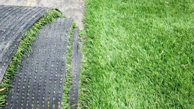 motclef2 localisation2